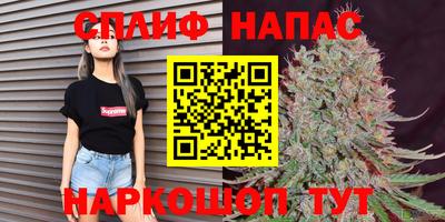 ПСИЛОЦИБИНОВЫЕ ГРИБЫ Можга
