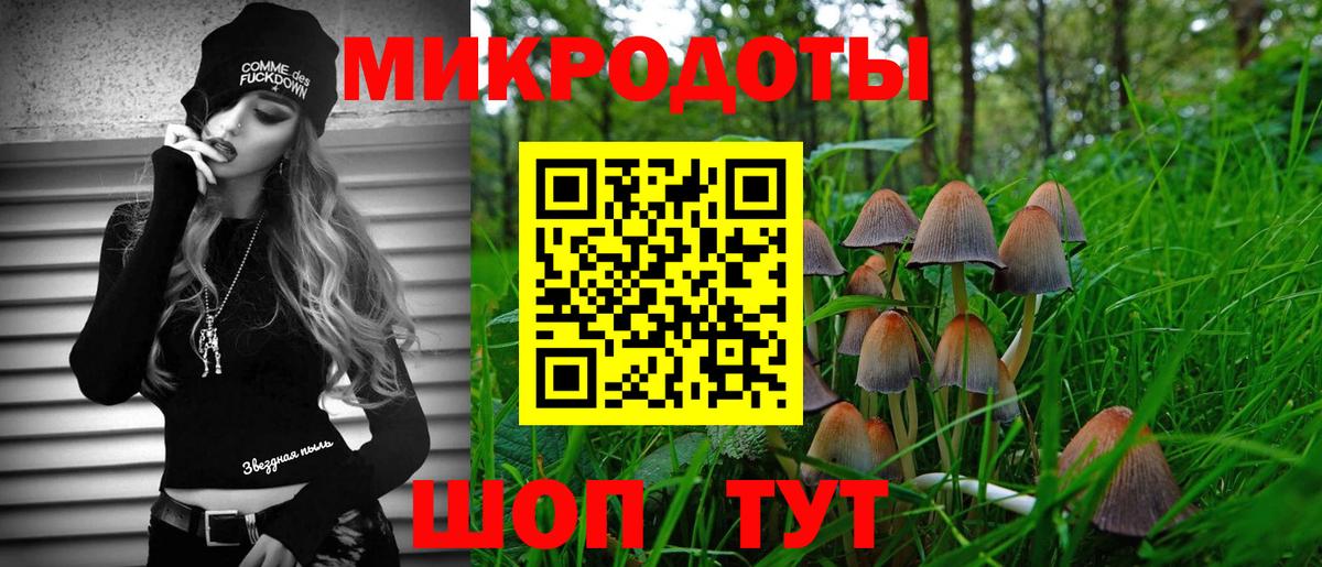 Энгельс  Галлюциногенные грибы Magic Shrooms  Вход с VPN 