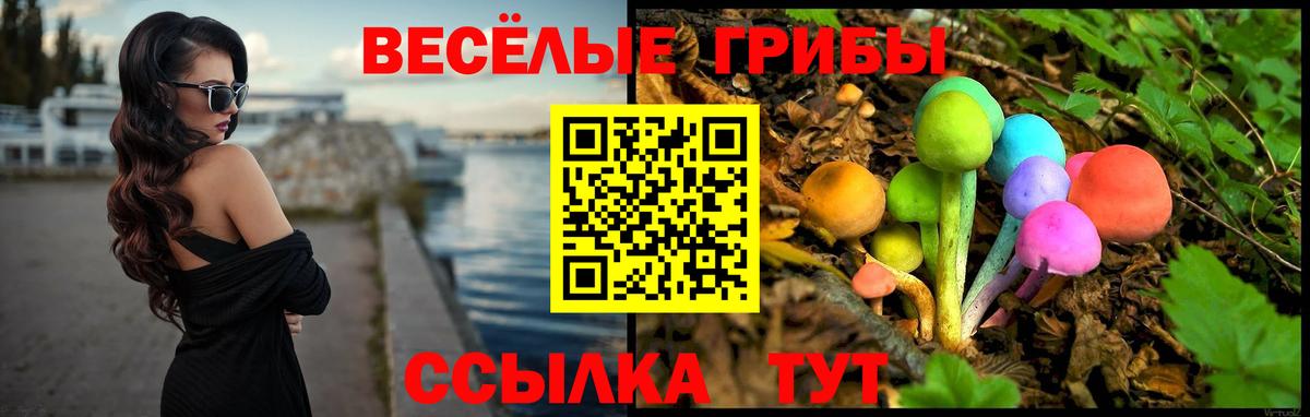 Галлюциногенные грибы Psilocybine cubensis Энгельс